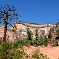 Landscape of Zion National Park, Utah