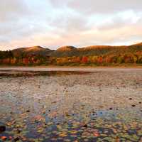 Across the pond view with hills in the landscape