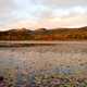 Across the pond view with hills in the landscape