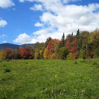 Green Mountain National Forest