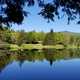 Peaceful Pond Landscape in Green Mountain National Forest