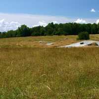 Eagle Point landscape with grass