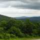 Lewis Pond Overlook landscape