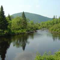 Nulhegan River landscape greenery