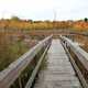 Walkway into Stephen Young Marsh