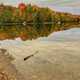 Water and autumn landscape in Vermont