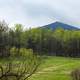 Fog over the Peak at Blue Ridge Parkway, Virginia