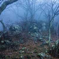 Foggy Mountain path on the Blue Ridge Parkway in Virginia