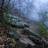 Misty Hiking path to the Peaks of Otter