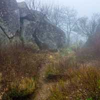 Mountain Landscapes in the Fog in Blue Ridge Parkway