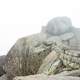 Rocks at the summit of Peaks of Otter