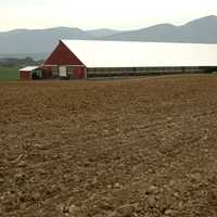 Barn and empty field in Virginia 