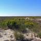 Dunes and Landscape at Fisherman Island National Wildlife Refuge