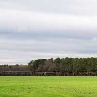 Rogers farm landscape and operations