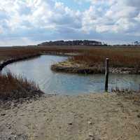 Salt Marsh landscape in Virginia