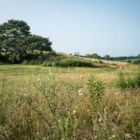 Virginia Landscape under blue sky