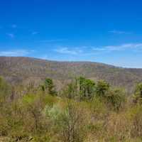 Looking at the Landscape of the Hills at Shenandoah