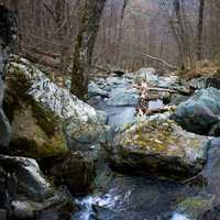 Looking down the river at Shenandoah