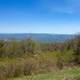 Mountain Landscape in Shenandoah National Park