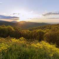 Spring colors during Sunset