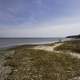 Coastline Landscape on the York River in Yorktown, Virginia