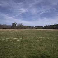 Field Near the French Hospital in Yorktown, Virginia