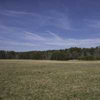 Landscape near Surrender Field in Yorktown, Virginia
