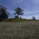 Trenches and Landscape in Yorktown, Virginia