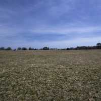 Yorktown Battlefield Landscape in Virginia