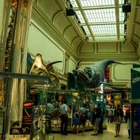 Exhibition hall in the Smithsonian Natural History Museum