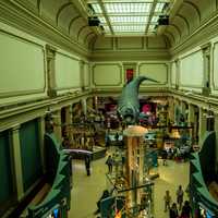 Looking down the Exhibition Hall in the Smithsonian