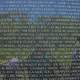 Memorial Wall of Vietnam Memorial