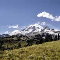 Cowlitz Divide view of Mount Rainier, Washington