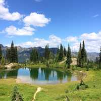 Pond and landscape under blue skies in Mount Rainier National Park, Washington