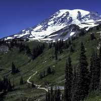 View of the peak at Mount Rainier National Park, Washington