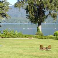 Lake quinault landscape at Olympic National Park, Washington