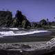 Olympic National Park Shoreline landscape in Washington