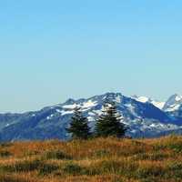 Scenery at Olympic National Park, Washington