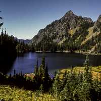 Scenery from Olympic National Park in Washington