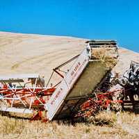 Antiquated threshing techniques in the field in Colfax, Washington