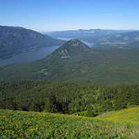 Hills, wildflowers, and river landscape