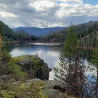 Lake Ellen landscape in the Forest