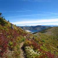 Landscape of the Hillside  with sky