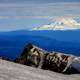 Mountain and Volcano with snow-capped in the landscape