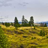 Panoramic View of Columbia River Gorge landscape