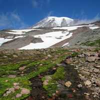 Paradise Skyline Trail landscape with snow