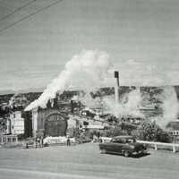 Shelton WA sawmills in Washington