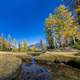 Stream and Brook landscape in Washington