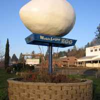 World's Largest Egg in Winlock, Washington