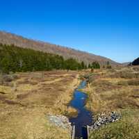 Landscapes and Hill around Spruce Knob Lake, West Virginia